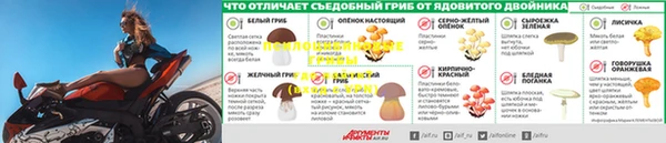 ECSTASY Кулебаки